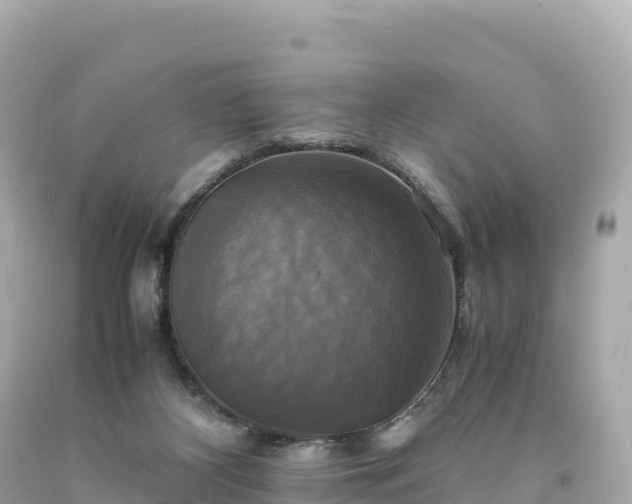 X0000094220116200711021148