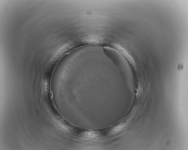 X0000094220117200711021148