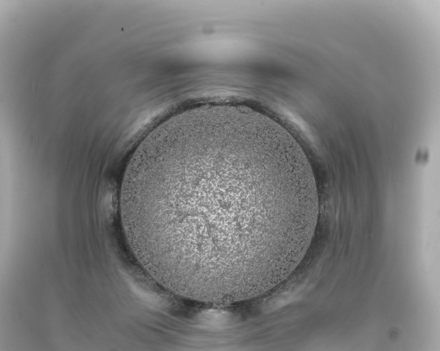 X0000094220119200711021148