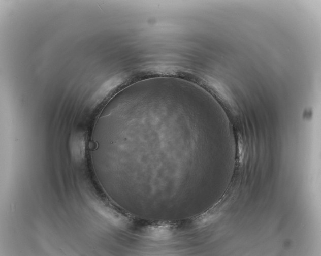 X0000094220120200711021148