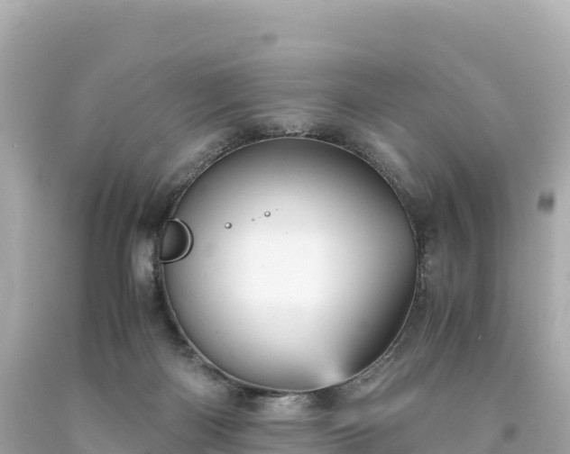 X0000094220122200711021148