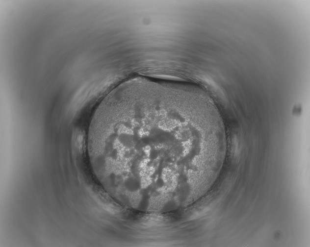 X0000094220123200711021148