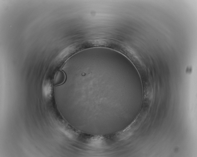 X0000094220124200711021148