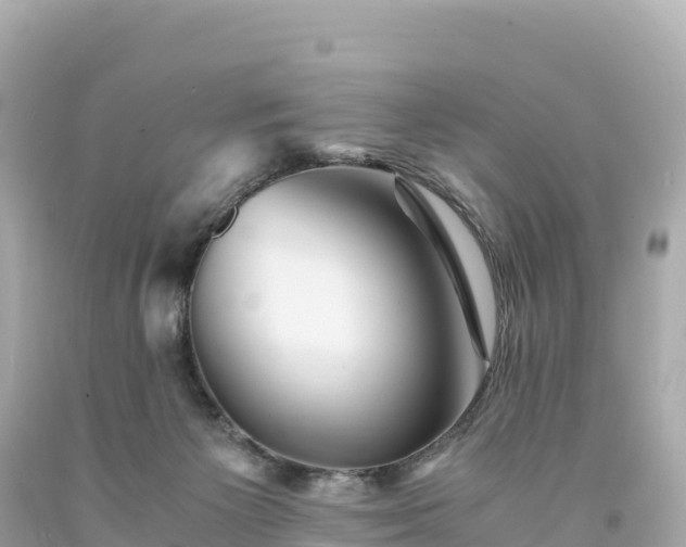 X0000094220125200711021148