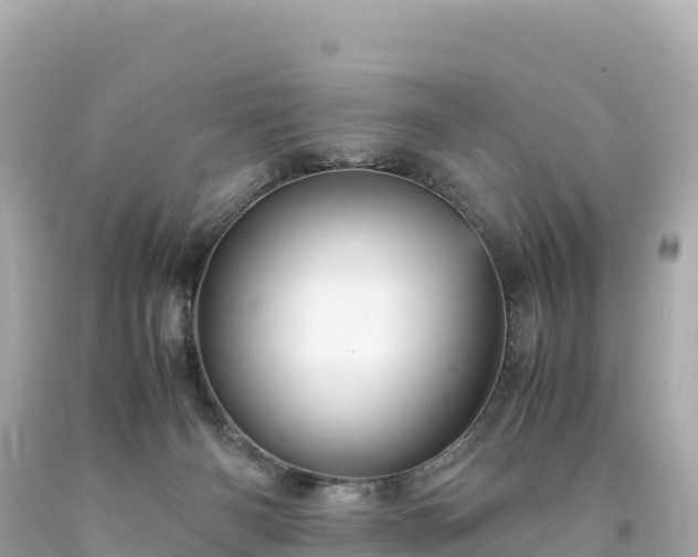 X0000094220126200711021148