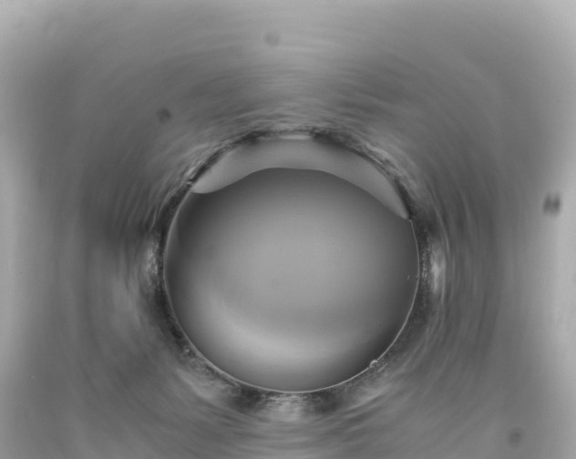 X0000094220127200711021148