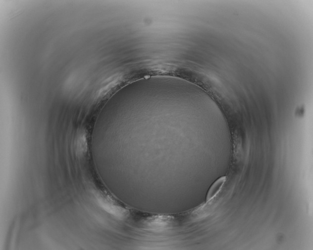 X0000094220128200711021148