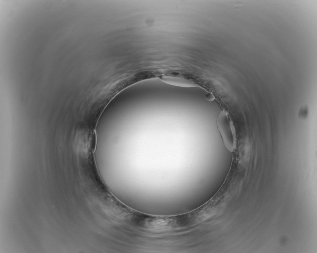 X0000094220129200711021148