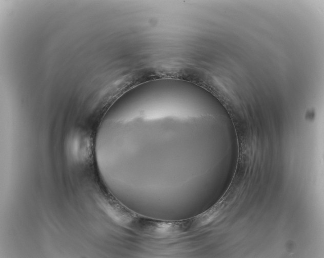 X0000094220130200711021148