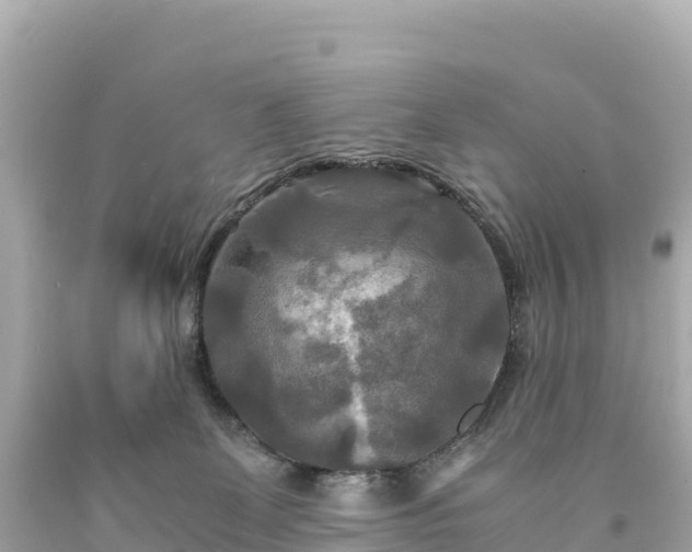 X0000094220131200711021148