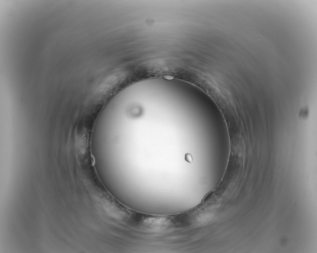 X0000094220133200711021148