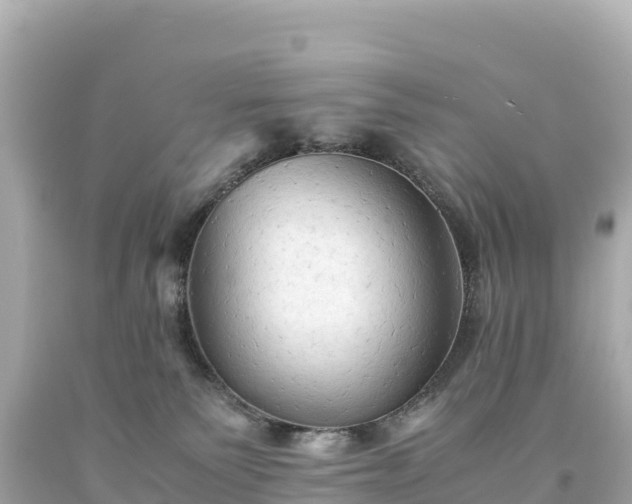 X0000094220135200711021148