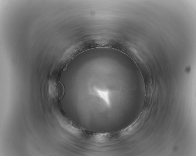 X0000094220136200711021148