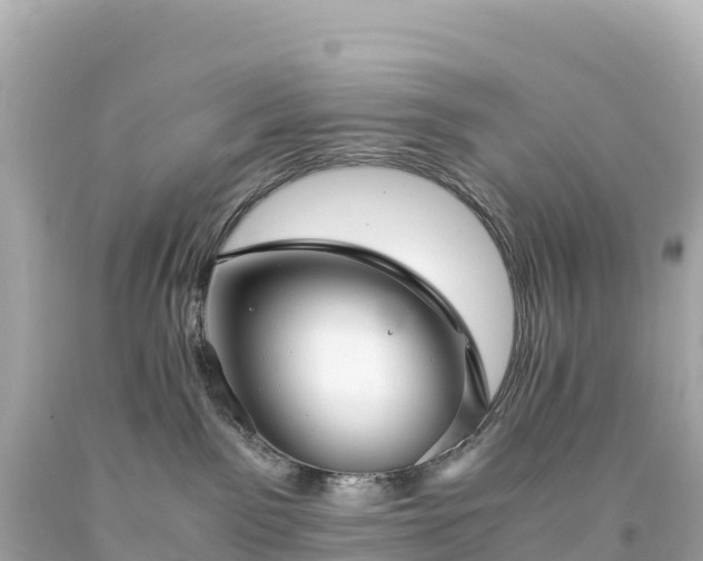 X0000094220141200711021148