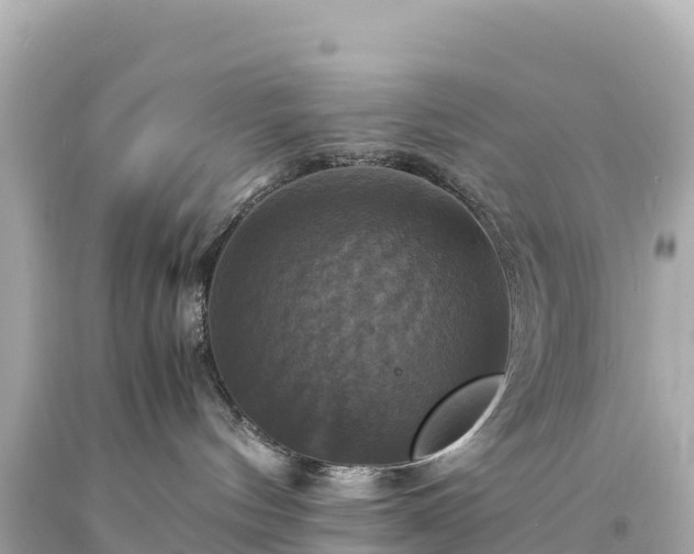 X0000094220144200711021148