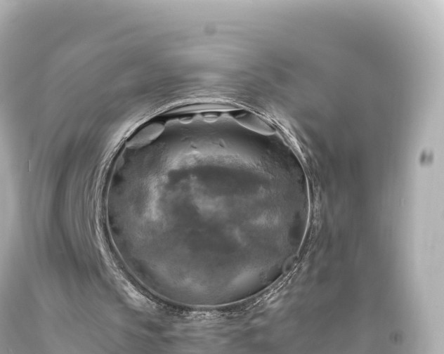 X0000094220145200711021147