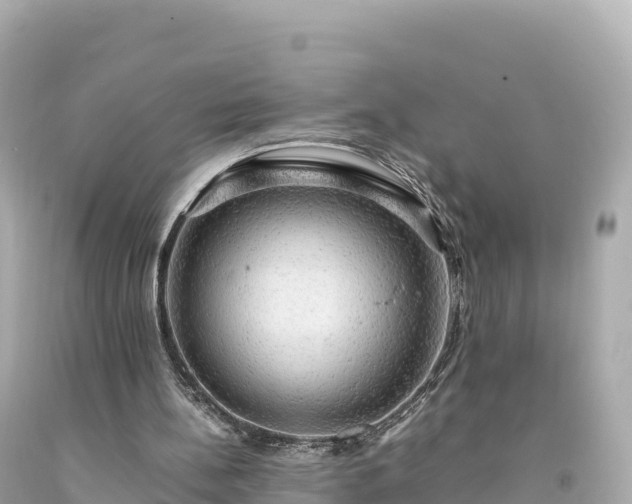 X0000094220148200711021147