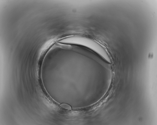 X0000094220149200711021147