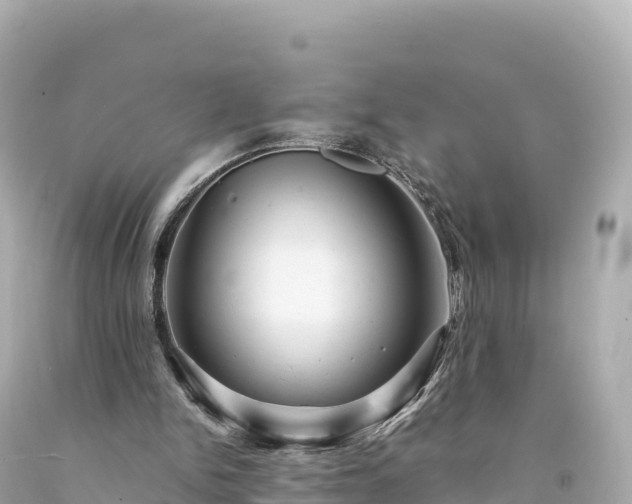 X0000094220150200711021147