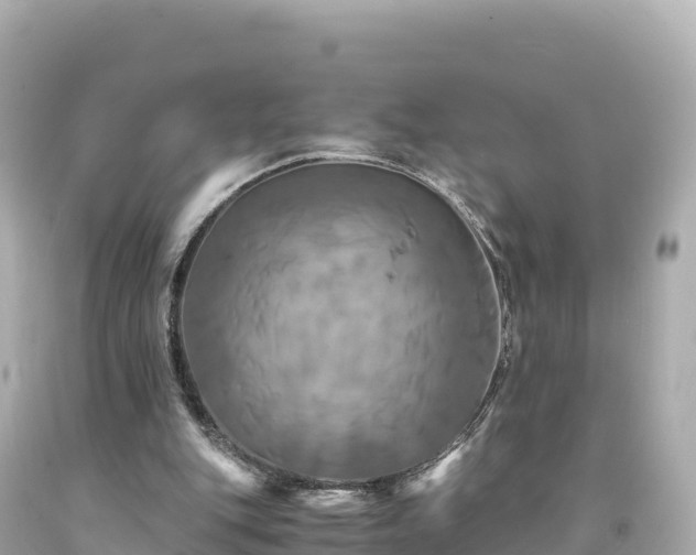 X0000094220151200711021147