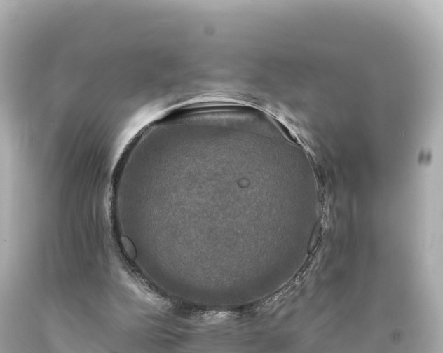 X0000094220152200711021147