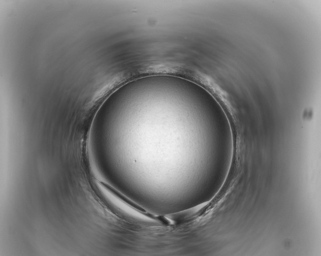 X0000094220153200711021147