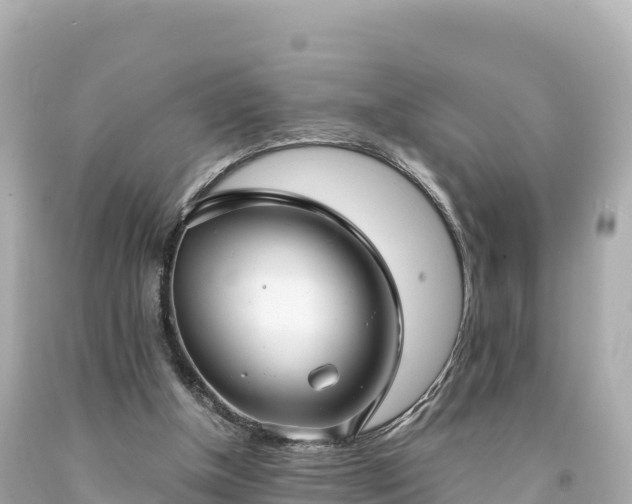 X0000094220154200711021147