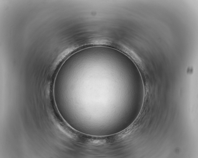 X0000094220155200711021147