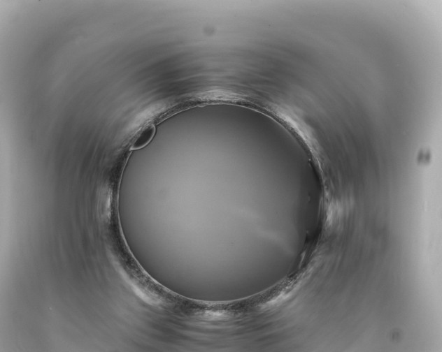 X0000094220157200711021147