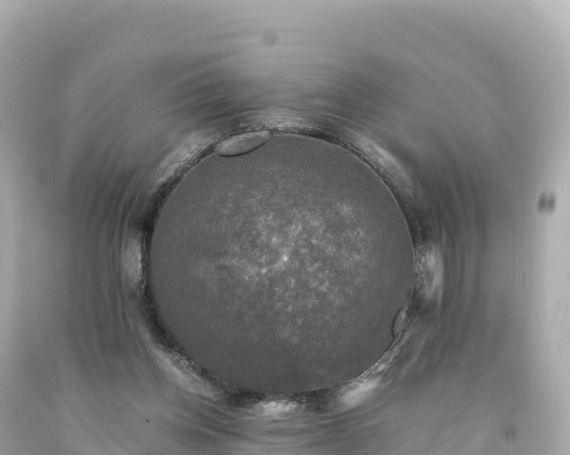 X0000094220158200711021147