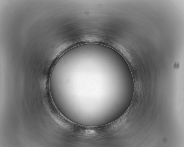 X0000094220159200711021147