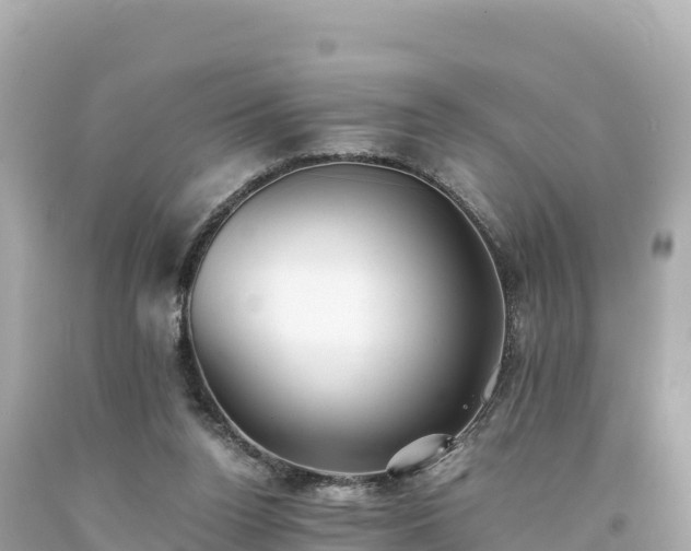 X0000094220160200711021147