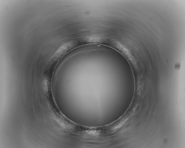 X0000094220161200711021147