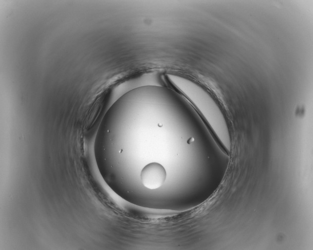 X0000094220162200711021147