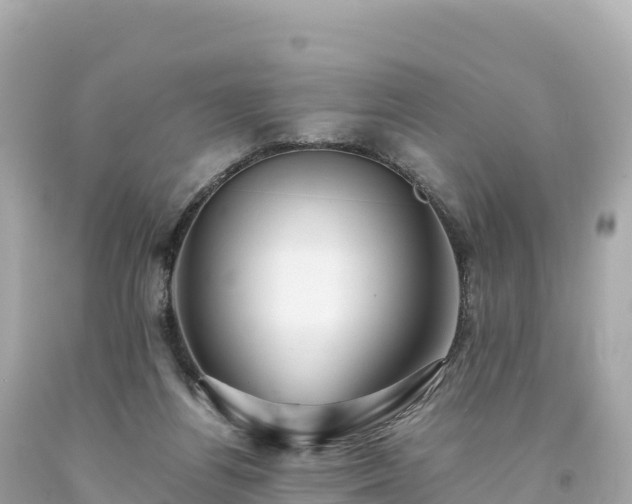 X0000094220164200711021147