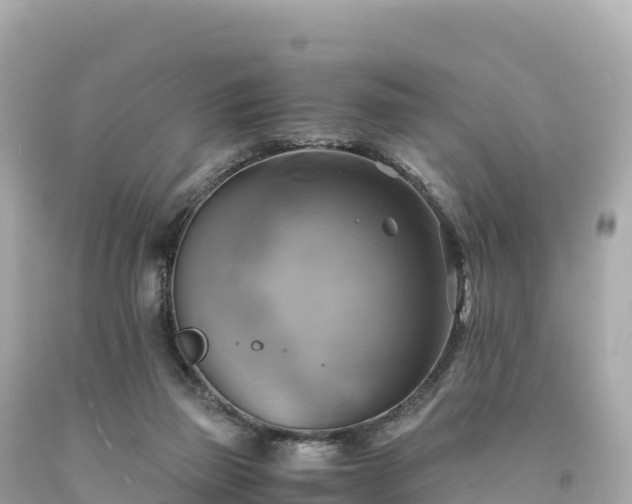 X0000094220165200711021147