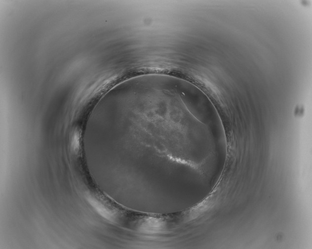 X0000094220166200711021147