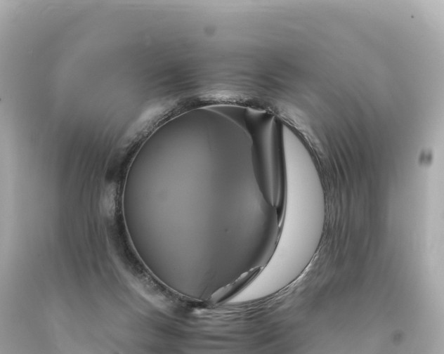 X0000094220167200711021147