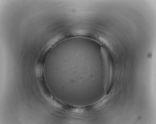 X0000094220168200711021147