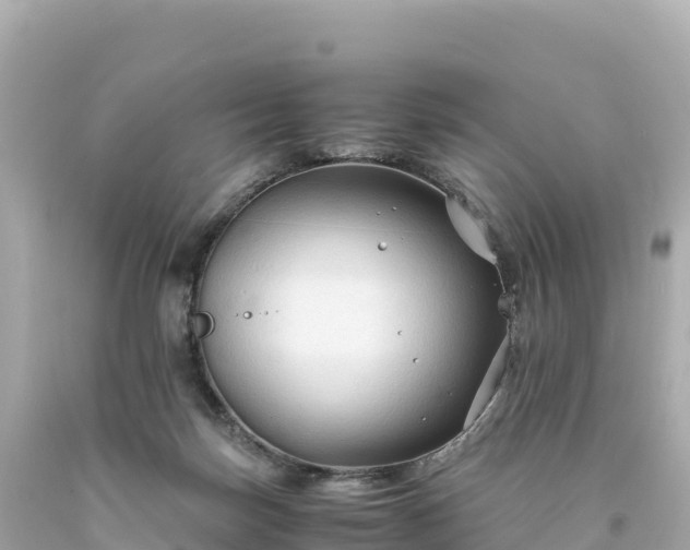 X0000094220171200711021148