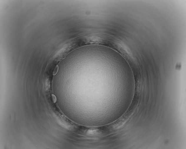 X0000094220173200711021148