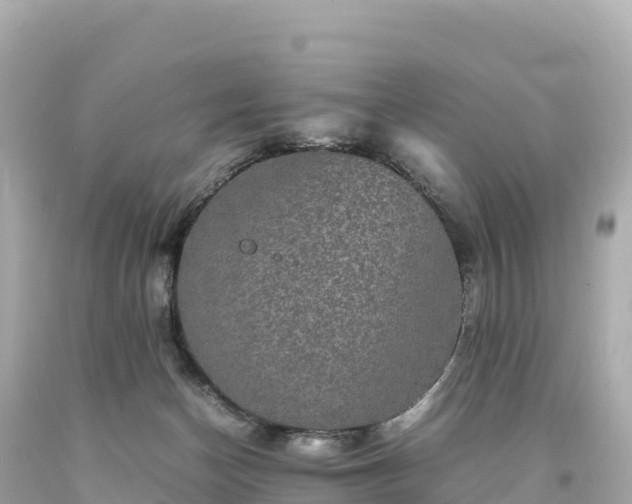 X0000094220174200711021148