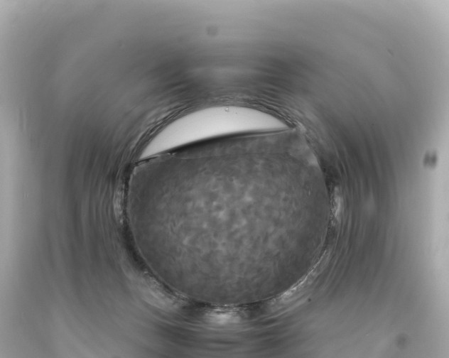 X0000094220175200711021148