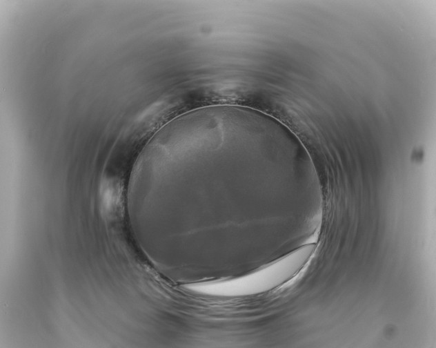 X0000094220178200711021148