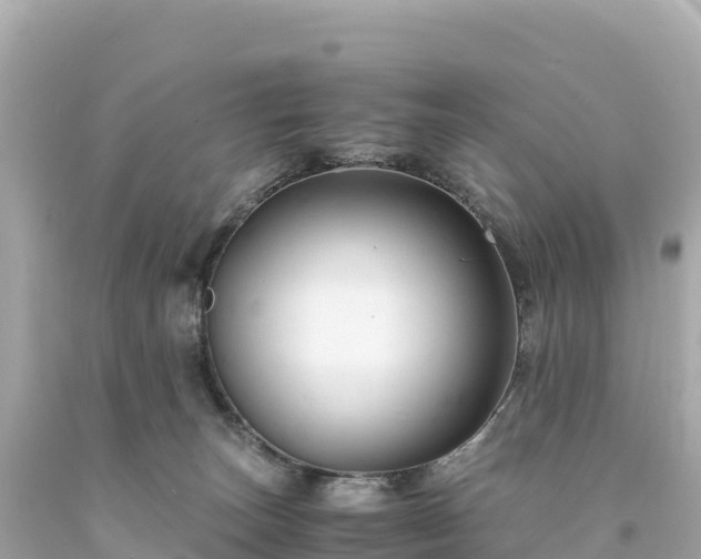 X0000094220179200711021148