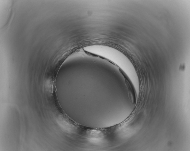 X0000094220180200711021148