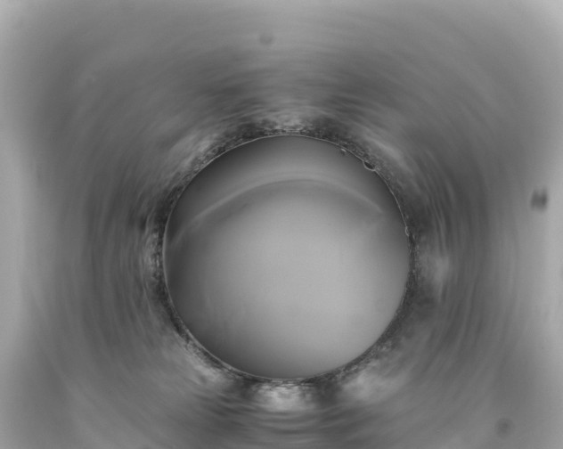 X0000094220181200711021148