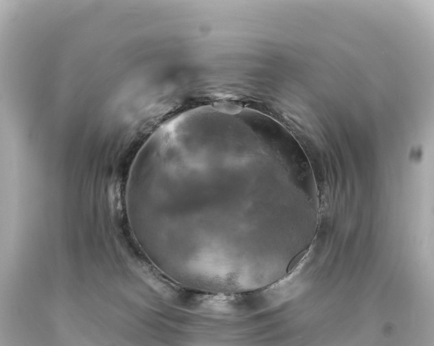 X0000094220182200711021148