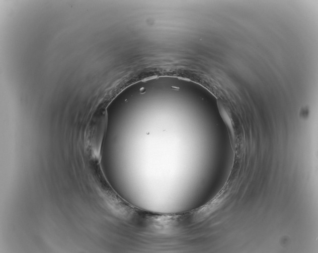 X0000094220184200711021148