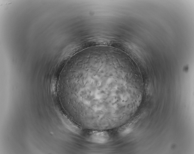 X0000094220185200711021148